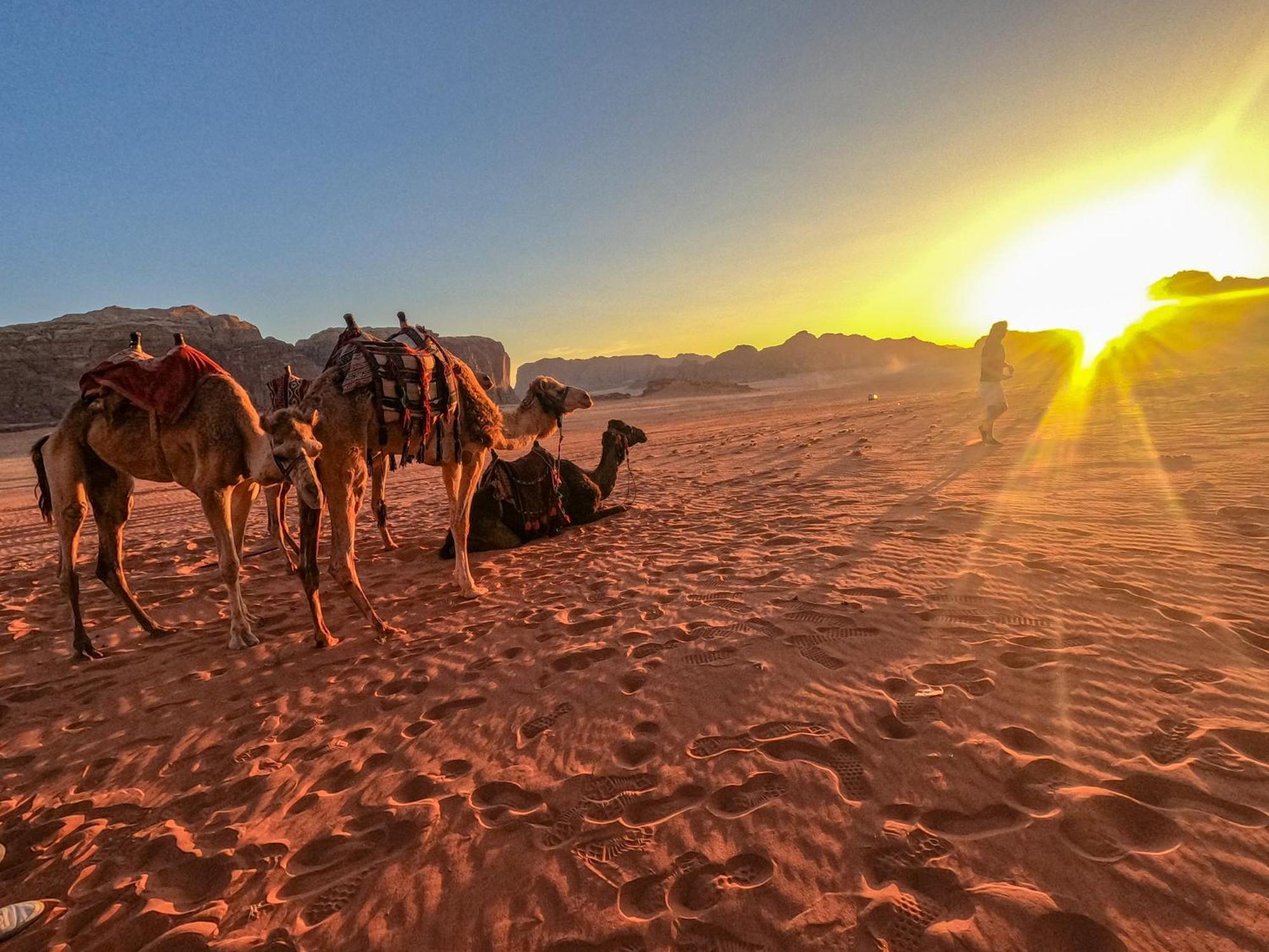 Stargazing Camp & Tours Hotel Wadi Rum Buitenkant foto