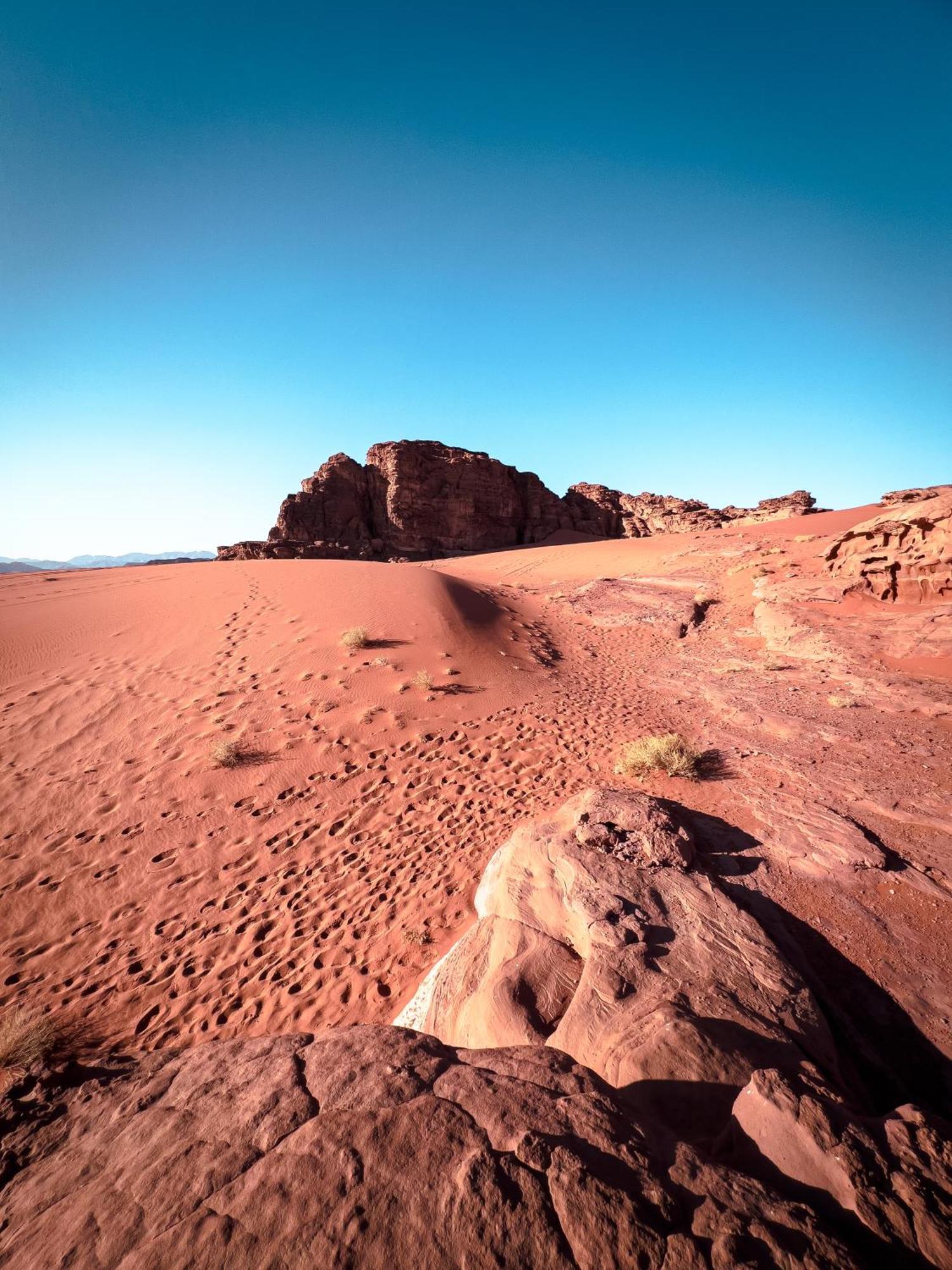 Stargazing Camp & Tours Hotel Wadi Rum Buitenkant foto