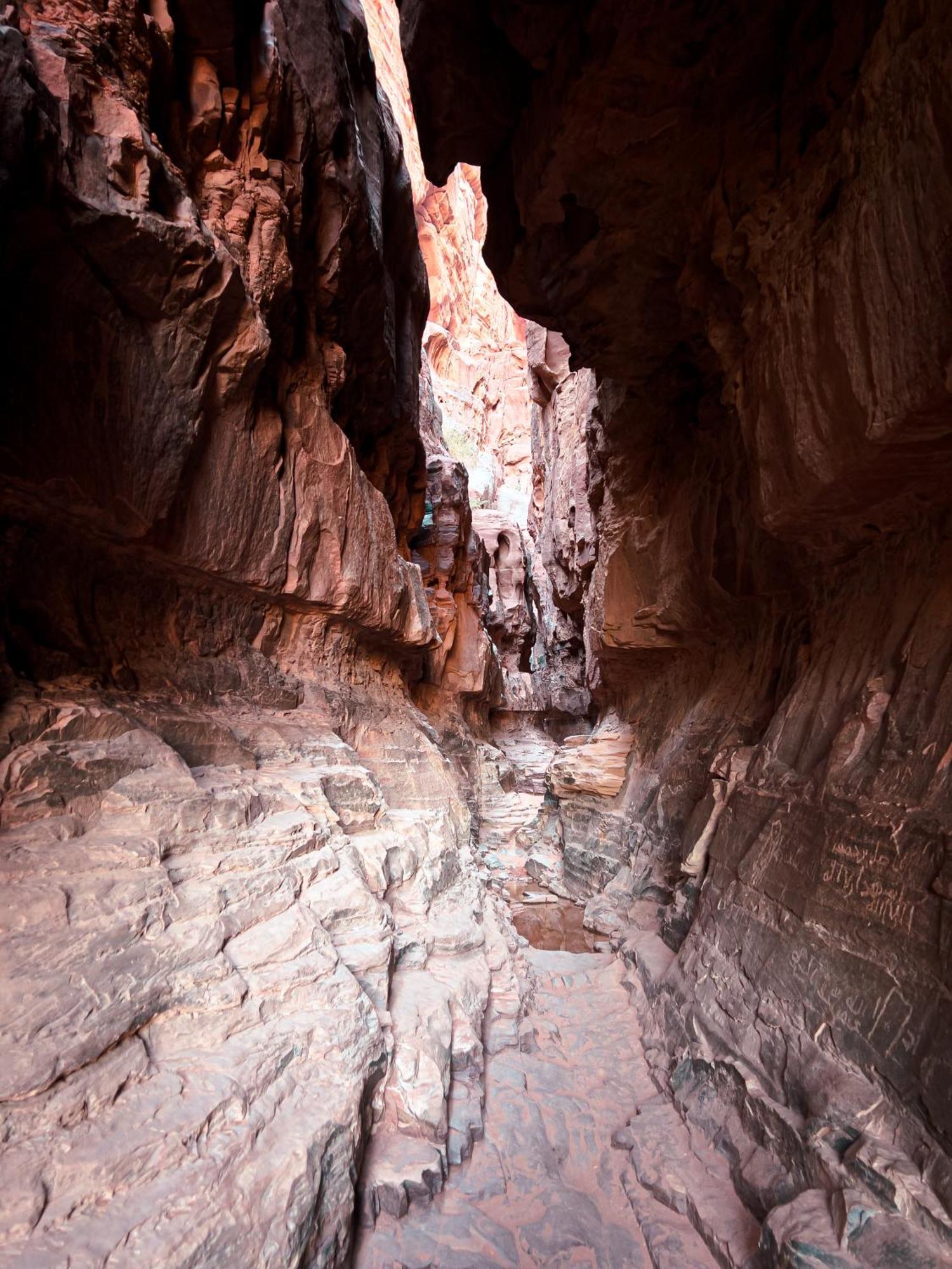 Stargazing Camp & Tours Hotel Wadi Rum Buitenkant foto