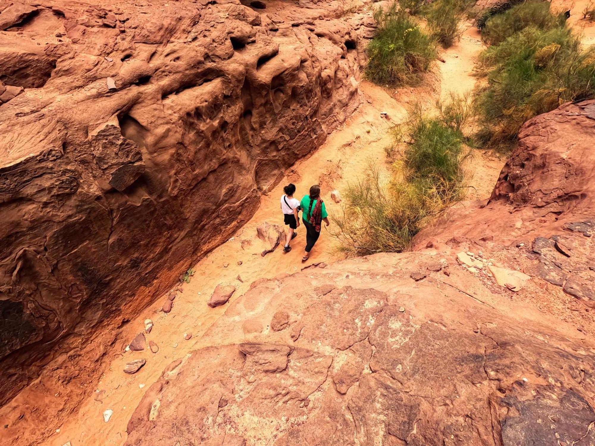 Stargazing Camp & Tours Hotel Wadi Rum Buitenkant foto