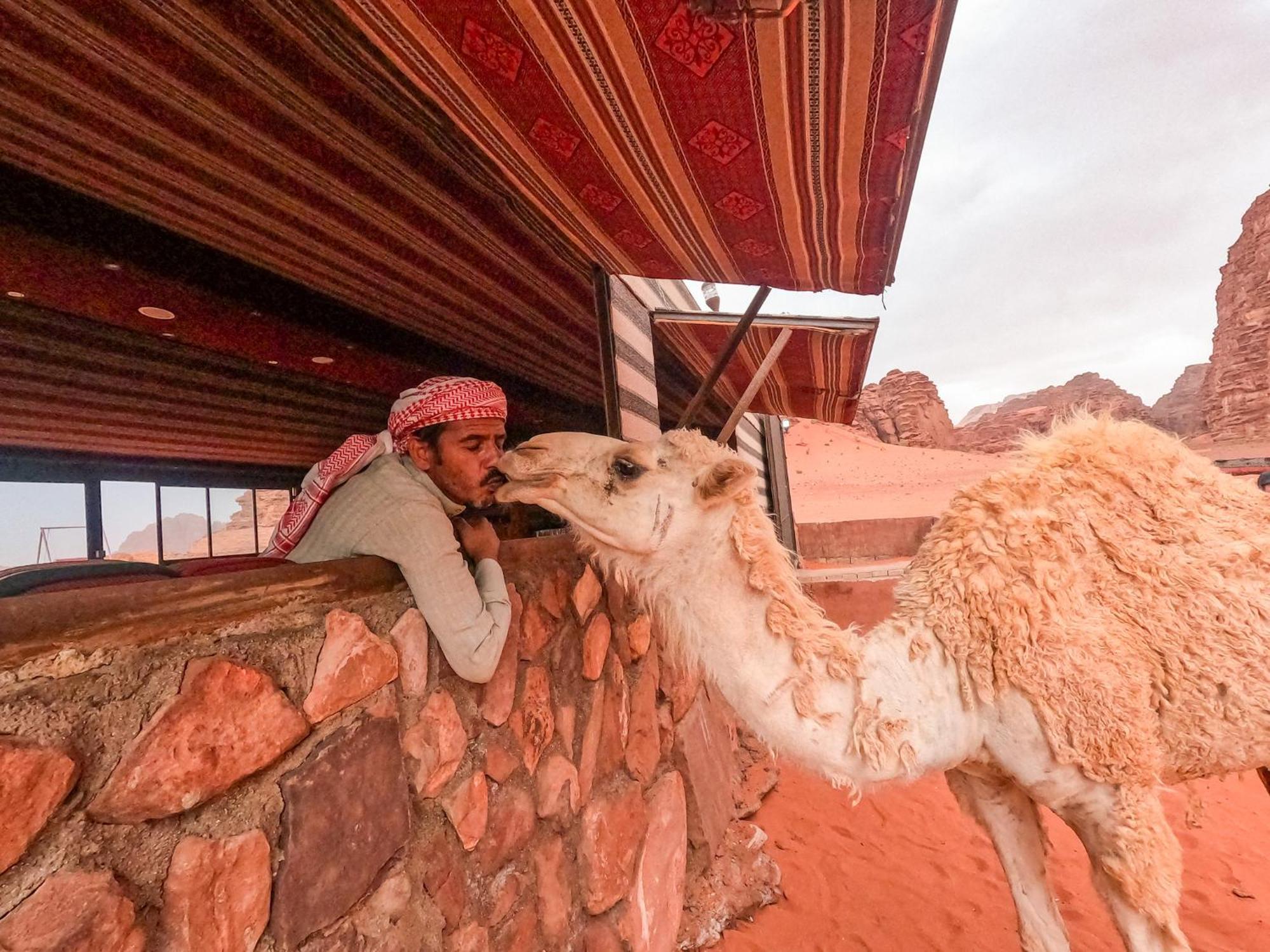 Stargazing Camp & Tours Hotel Wadi Rum Buitenkant foto