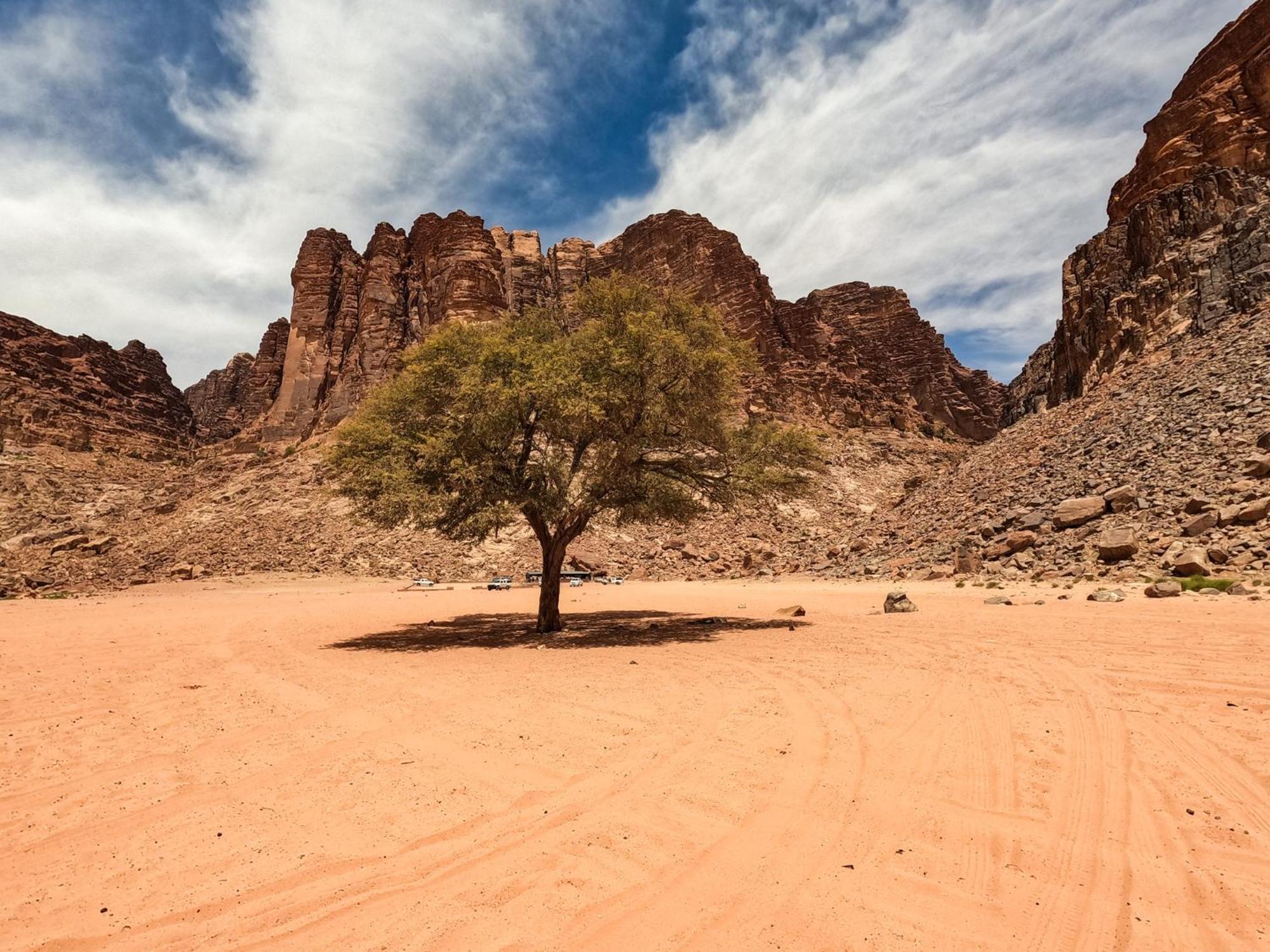 Stargazing Camp & Tours Hotel Wadi Rum Buitenkant foto