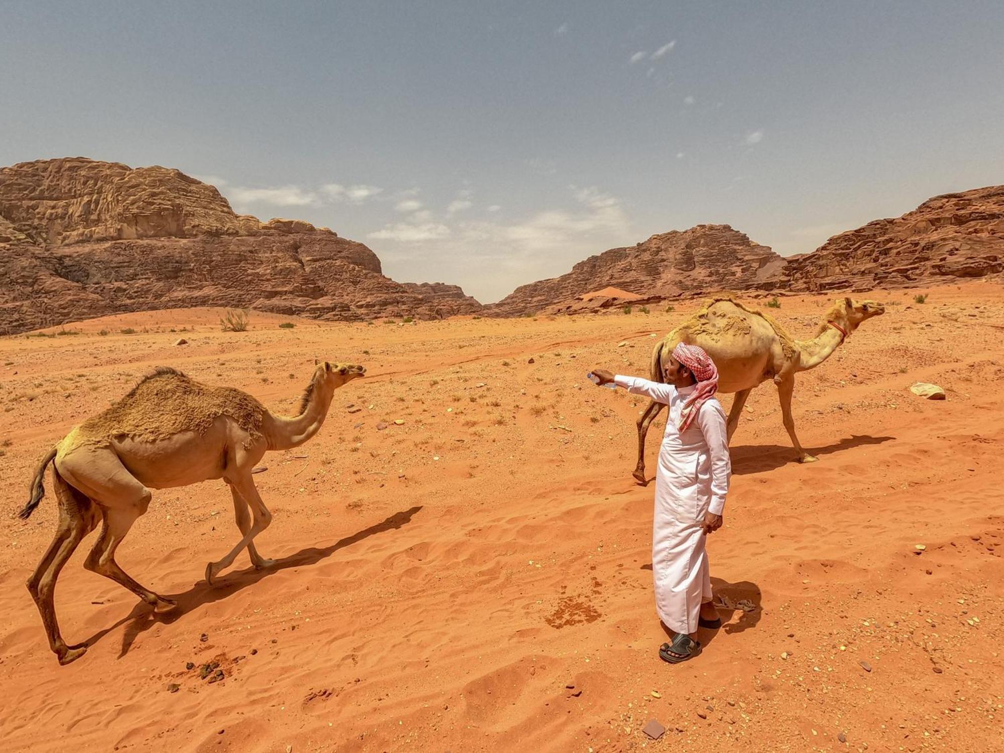 Stargazing Camp & Tours Hotel Wadi Rum Buitenkant foto