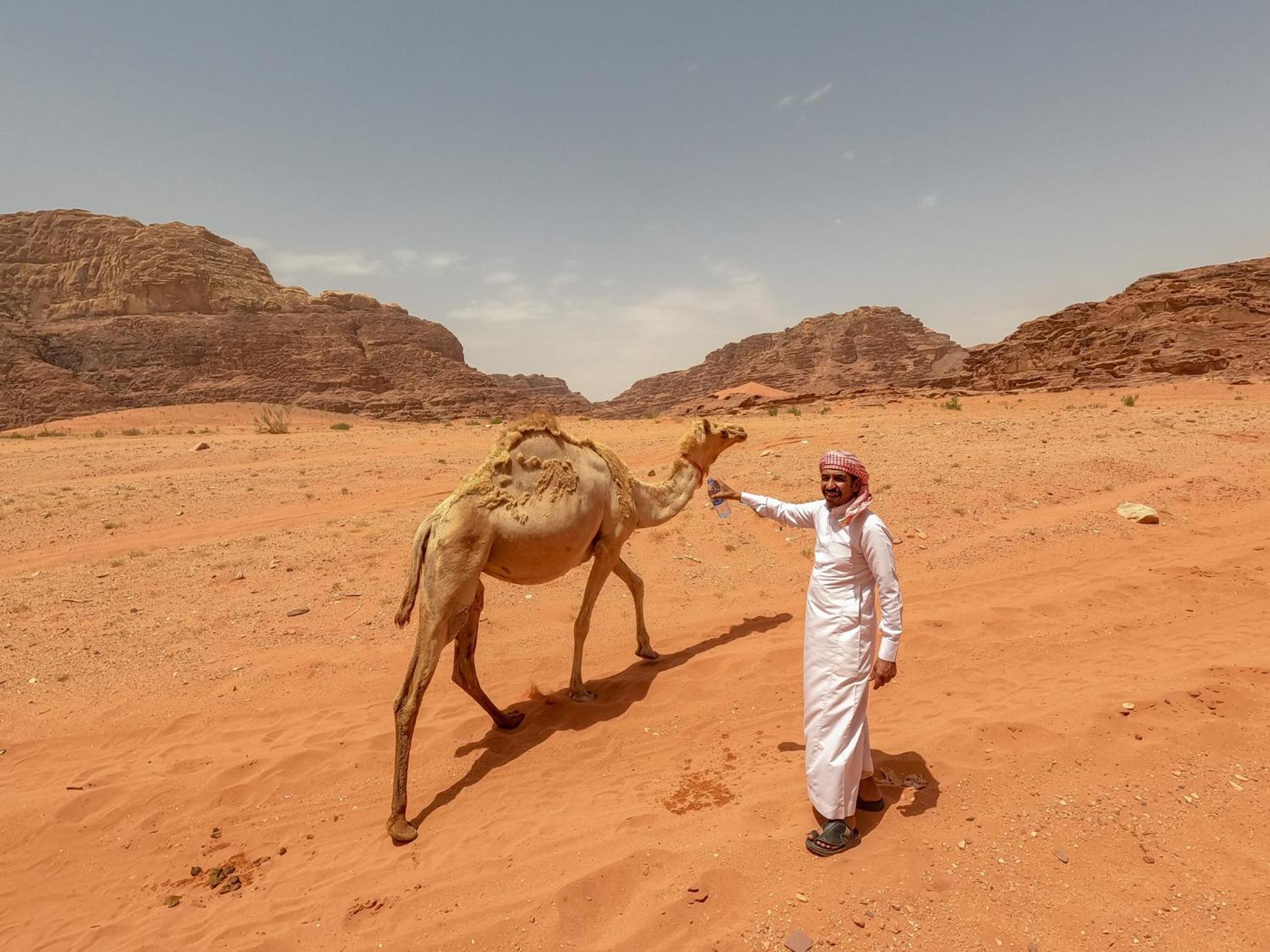 Stargazing Camp & Tours Hotel Wadi Rum Buitenkant foto