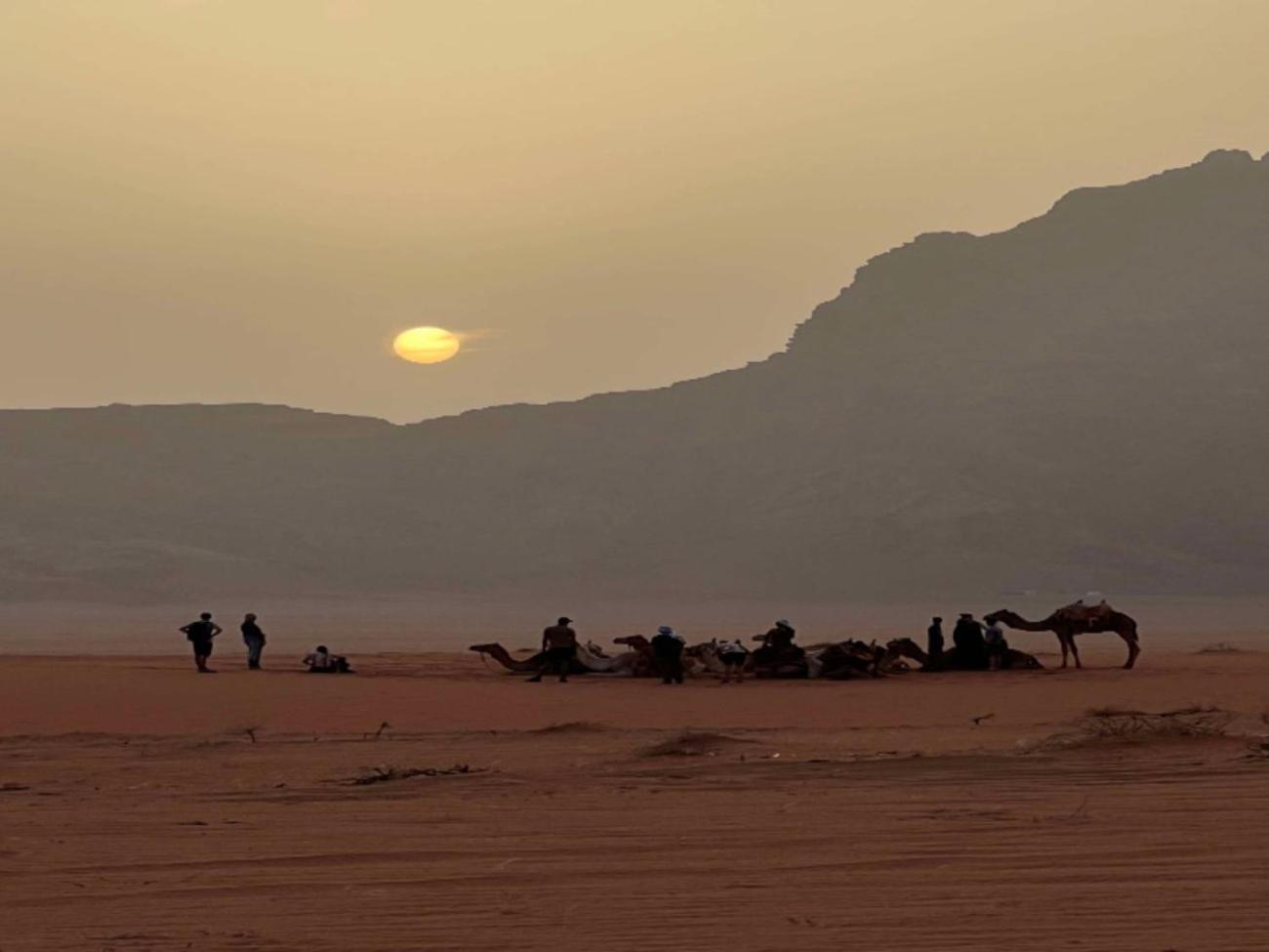 Stargazing Camp & Tours Hotel Wadi Rum Buitenkant foto